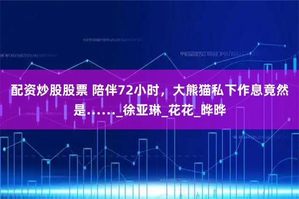配资炒股股票 陪伴72小时，大熊猫私下作息竟然是……_徐亚琳_花花_晔晔