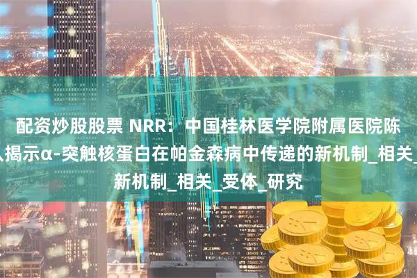 配资炒股股票 NRR：中国桂林医学院附属医院陈敏教授团队揭示α-突触核蛋白在帕金森病中传递的新机制_相关_受体_研究